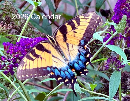2026 Calendar