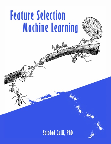 Feature Selection in Machine Learning