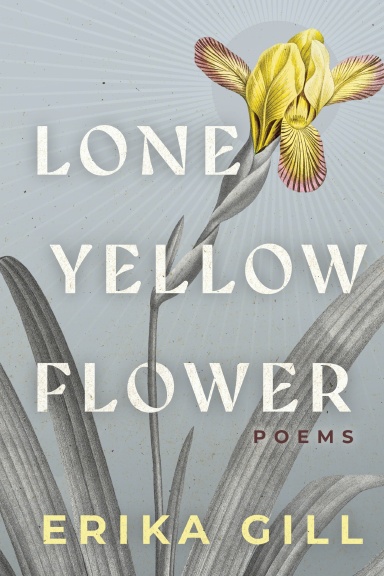 Lone Yellow Flower