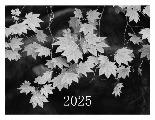 2025 Nature Calendar