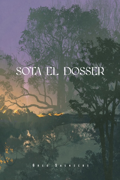 Sota del dosser