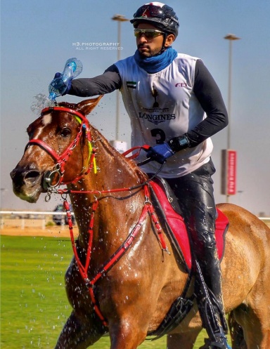 Prince Hamdan et Godolphin Ranch