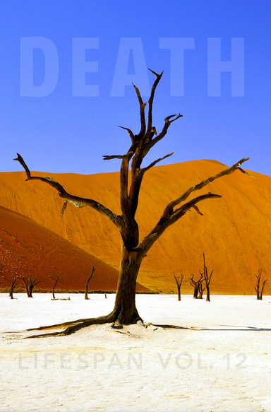 Death Lifespan Vol. 12