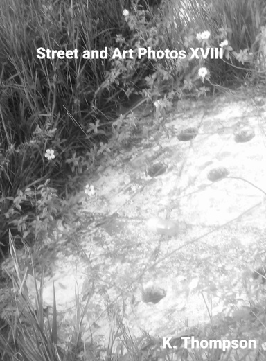 Street and Art Photos XVIII