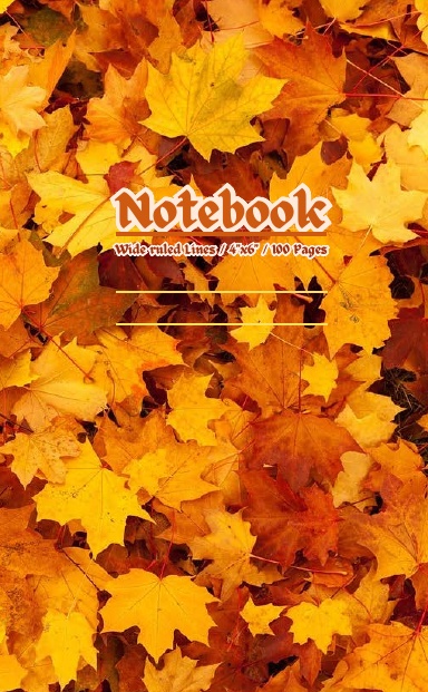Travel & Adventure Small Pocket Notebook / Wide ruled lines / 4" x 6" / 100 Pages