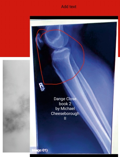 Danger Close Book 2