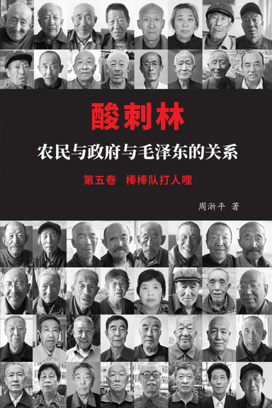 酸刺林: 农民与政府与毛泽东的关系(五卷)