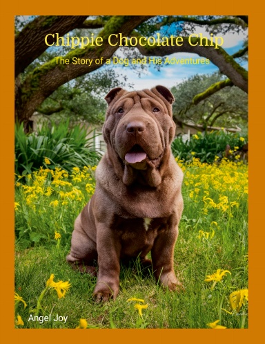 Chippie Chocolate Chip