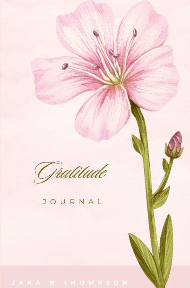 Gratitude Journal