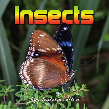 Insects