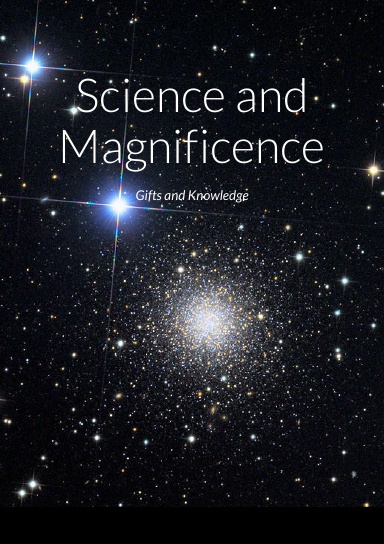 Science and Magnificence