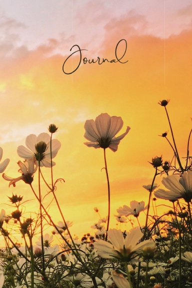 Journal