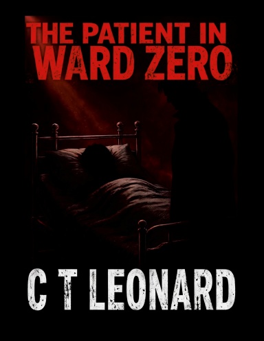 The Patient In Ward Zero