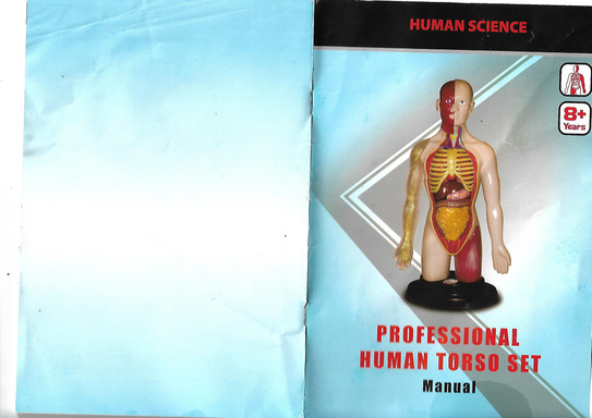 Human Anatomy