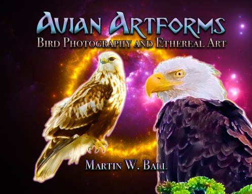 Avian Artforms 2026 Calendar