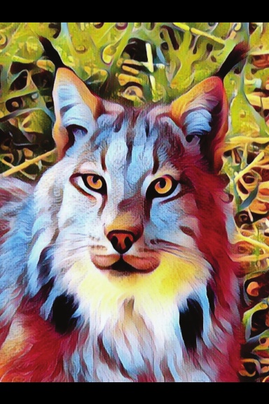 Max Canada Lynx J2
