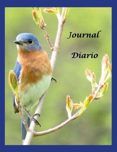 Writing Journal With Philadelphia Area Bird Photos