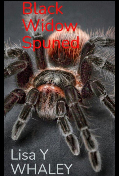 Black Widow Spunned