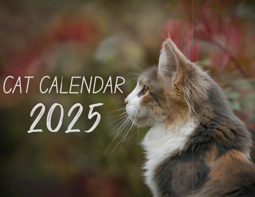 Cat Calendar 2025