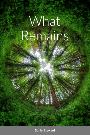 What Remains