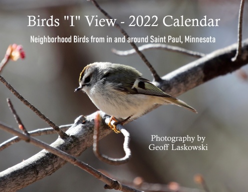 Birds "I" View 2022 Calendar