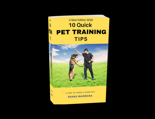 10 QUICK PET TRAINING TIPS