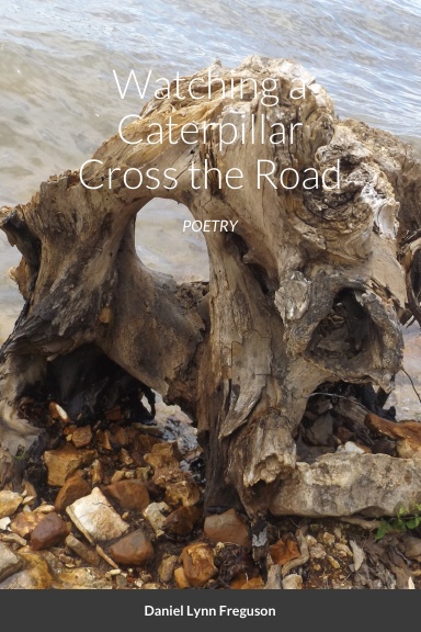 Watching a Caterpillar Cross the Road