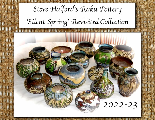 Steve Halford's Raku Pottery