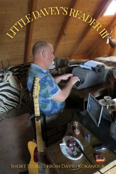 Little Davey's Reader III