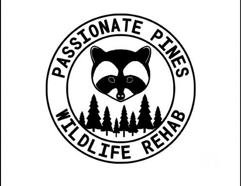 Wildlife Rescue Calendar 2025