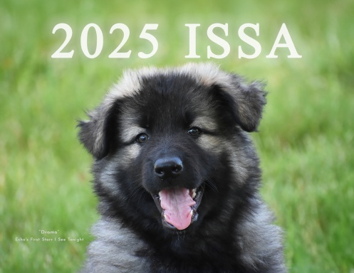 2025 ISSA Shiloh Shepherd Calendar