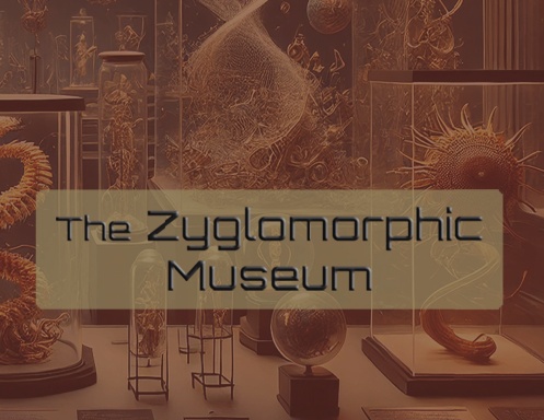 The Zyglomorphic Museum