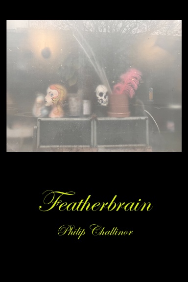 Featherbrain