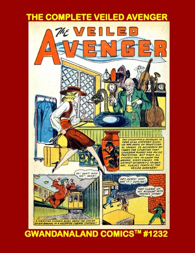 The Veiled Avenger