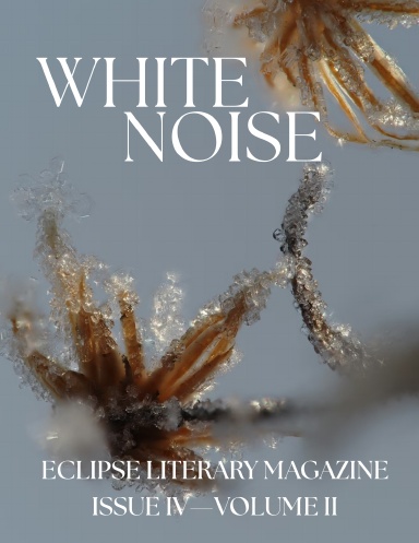 White Noise: Vol. II