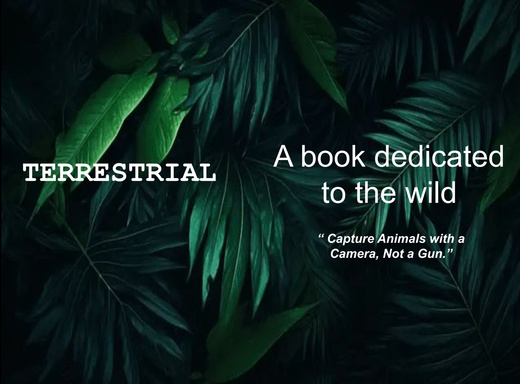 Terrestrial