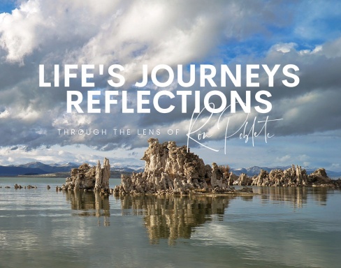 Life's Journeys Reflections