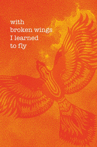 With Broken Wings I Learned to Fly - Journal