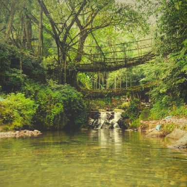 Ever Wondered About Cherrapunji's Enchanting Rainfall?