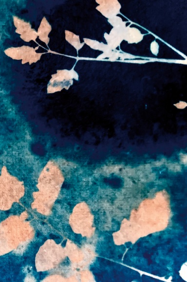 Cyanotype Journal - Spiralbound