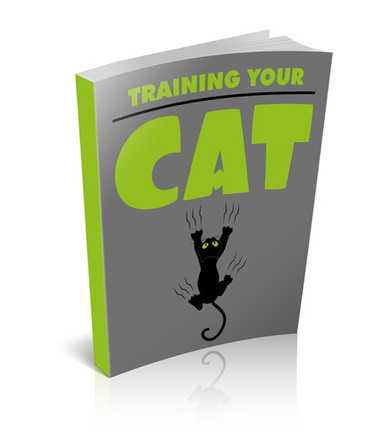 Training. Your cat