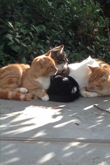 Let's Be Friends Journal