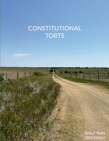 Constitutional Torts