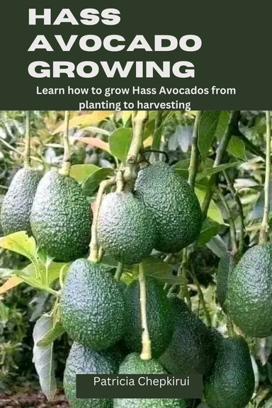 HASS AVOCADO GROWING