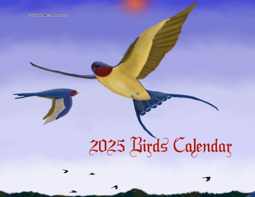 2025 Birds Calendar