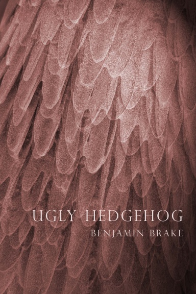 Ugly Hedgehog