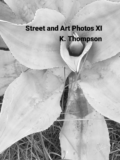 Street and Art Photos XI