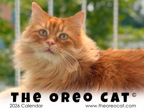 The Oreo Cat 2026 Calendar