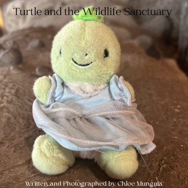 Turtle and the Wildlife Sanctuary