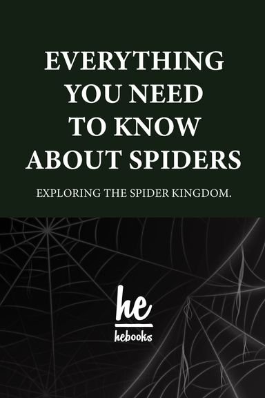 All You Need to Know About Spiders